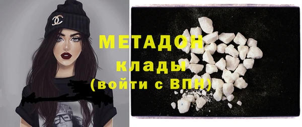 стаф Вязьма
