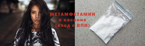 прущие грибы Верея