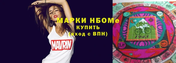 стаф Вязьма