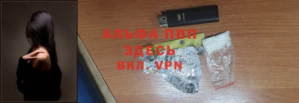 прущие грибы Верея
