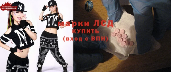 стаф Вязьма